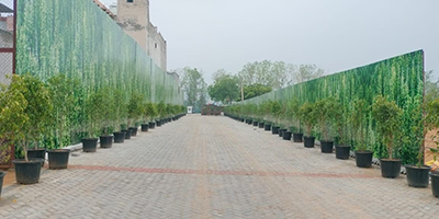 Roots Courtyard 2 - Construction Update - june 2025