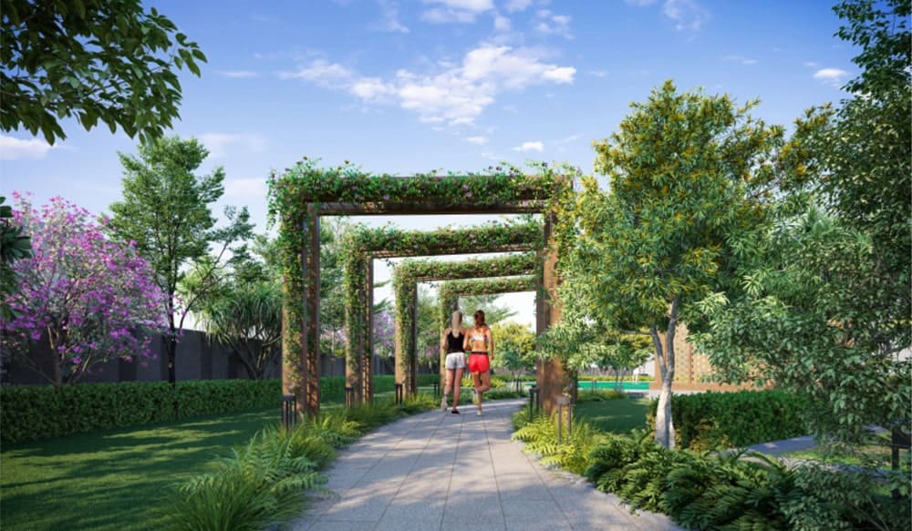 Roots Courtyard 2 Project Highlights